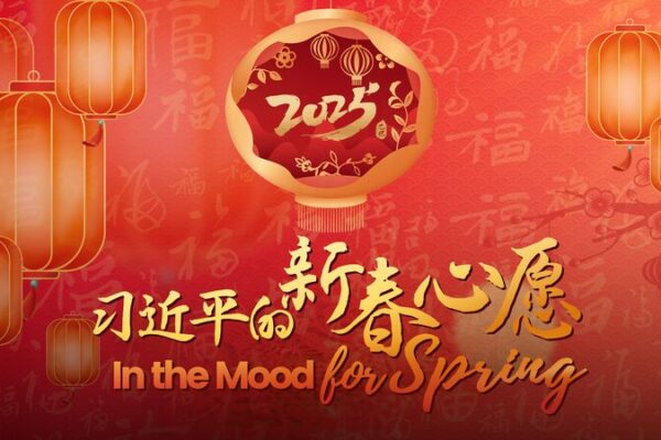 Spring_Festival_Magic__Food__Art___Family_Bonds___ video poster