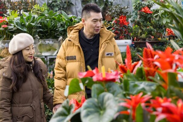 🌸 Spring Fever: Flower Power Sweeps China for Lunar New Year! __Spring_Fever__Flower_Power_Sweeps_China_for_Lunar_New_Year_