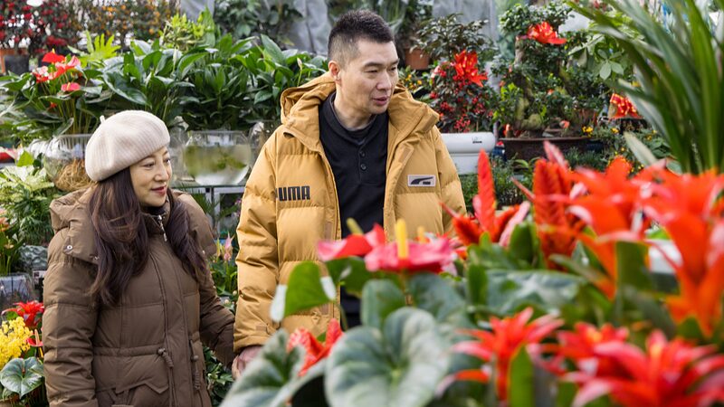 Spring_Fever__Flower_Power_Sweeps_China_for_Lunar_New_Year_ - 🌍NewspaperAmigo – Your Global News Buddy 🗞️ __Spring_Fever__Flower_Power_Sweeps_China_for_Lunar_New_Year_