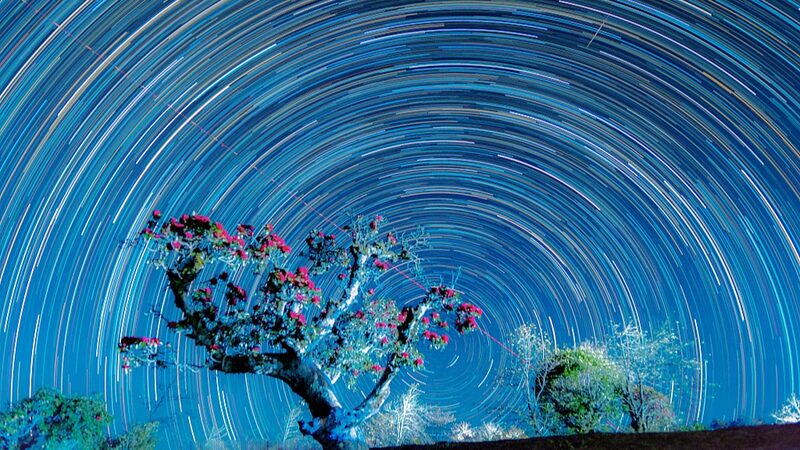 Spring_Magic__Azaleas_Bloom_and_Star_Trails_Light_Up_Yunnan_s_Shizhu_Village___