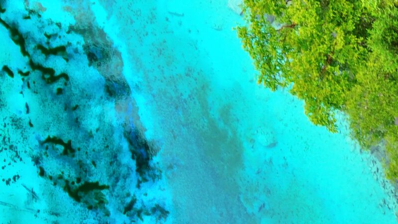 Step_Into_a_Painting__Jiuzhaigou_s_Colorful_Wonderland_Awaits____poster - 🌍NewspaperAmigo – Your Global News Buddy 🗞️ Step_Into_a_Painting__Jiuzhaigou_s_Colorful_Wonderland_Awaits___ video poster