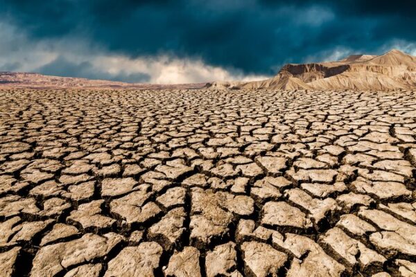 🌍 Study: World’s Drylands in Crisis — 88% Lack Protection __Study__World_s_Drylands_in_Crisis___88__Lack_Protection
