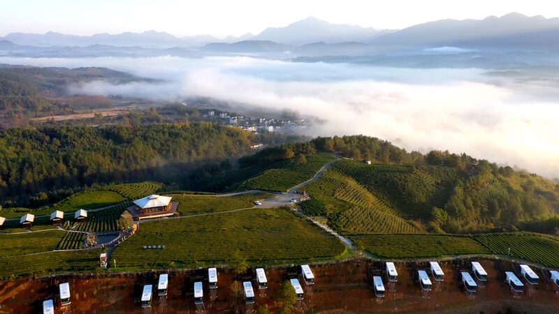 Stunning_Aerial_Views_of_Xuancheng_s_Tea_Plantations_____poster - 🌍NewspaperAmigo – Your Global News Buddy 🗞️ Stunning_Aerial_Views_of_Xuancheng_s_Tea_Plantations____ video poster