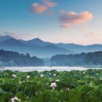 __Summer_Solstice_2024__Ancient_Wisdom_Meets_Modern_Life video poster