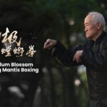 Sun_Delong__70_Years_of_Mastering_Tai_Chi_Plum_Blossom_Praying_Mantis_Boxing___ video poster