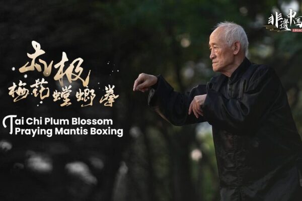 Sun Delong: 70 Years of Mastering Tai Chi Plum Blossom Praying Mantis Boxing 🥋✨ Sun_Delong__70_Years_of_Mastering_Tai_Chi_Plum_Blossom_Praying_Mantis_Boxing___ video poster