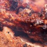 Suya__Nigeria_s_Spicy_Street_Barbecue_Takes_Global_Spotlight___ video poster