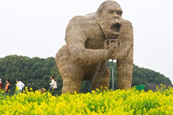 Suzhou Gardens Bloom with Art & Rapeseed Flowers πΌπ¨ Suzhou_Gardens_Bloom_with_Art___Rapeseed_Flowers___