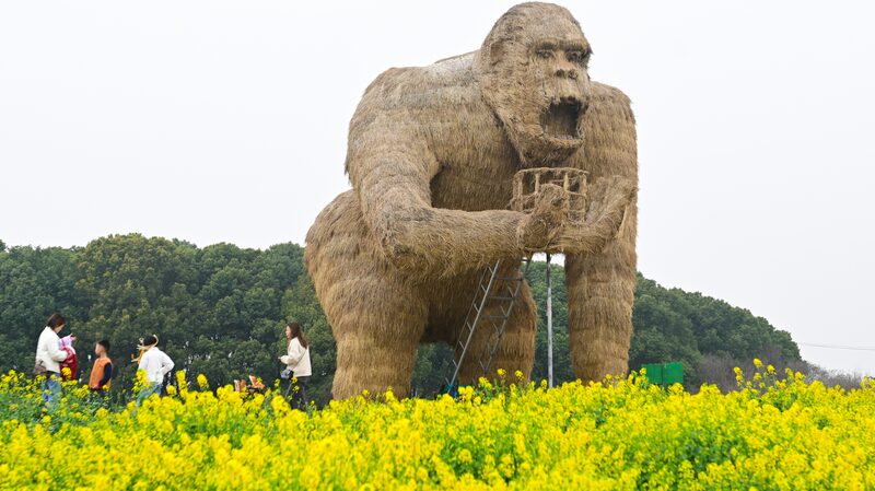 Suzhou_Gardens_Bloom_with_Art___Rapeseed_Flowers___