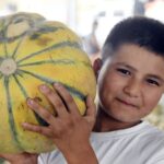 Sweet_Bites_of_Xinjiang__Nature_s_Candy_Under_the_Tianshan_Mountains____