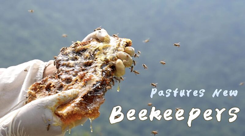 Sweet_Success__How_Beekeeping_is_Revitalizing_a_Panda_Reserve_Village___poster - 🌍NewspaperAmigo – Your Global News Buddy 🗞️ __Sweet_Success__How_Beekeeping_is_Revitalizing_a_Panda_Reserve_Village__ video poster