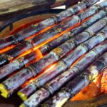 Sweet___Charred__Grilled_Sugarcane_Takes_Hainan_s_Snack_Scene_by_Storm___
