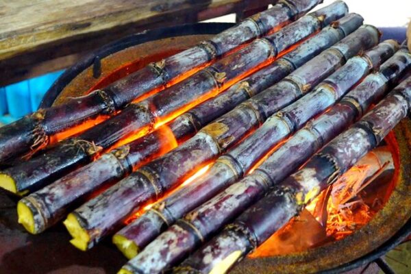Sweet___Charred__Grilled_Sugarcane_Takes_Hainan_s_Snack_Scene_by_Storm___