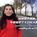 __Syrian_Artist_Praises_China_s_Life_First_COVID_Strategy___ video poster