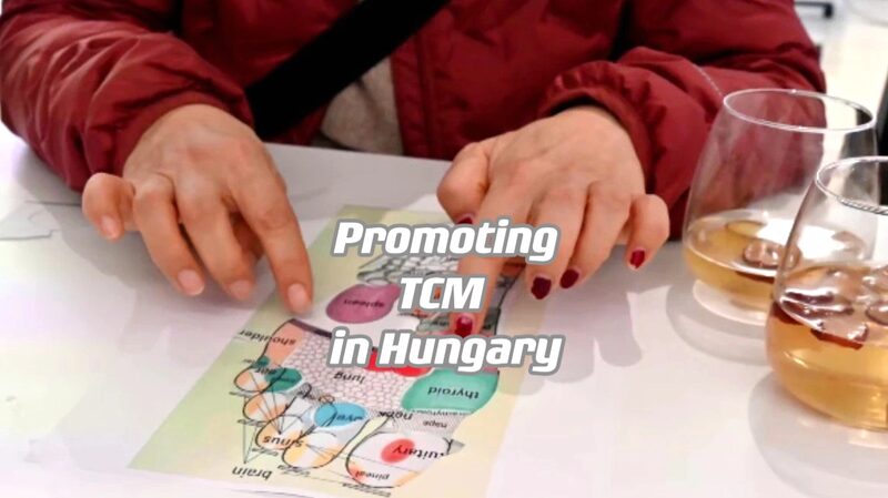 TCM Tango: Chinese Students Bring Traditional Medicine to Budapest 🌸🩺 TCM_Tango__Chinese_Students_Bring_Traditional_Medicine_to_Budapest___ video poster