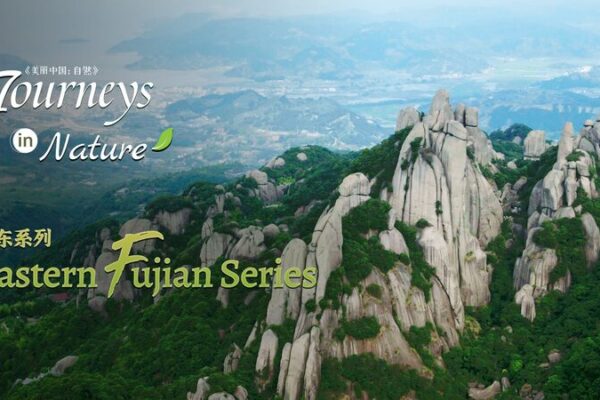 🌊 Taimu Mountain: China’s Coastal Fairyland 🌄 __Taimu_Mountain__China_s_Coastal_Fairyland__ video poster