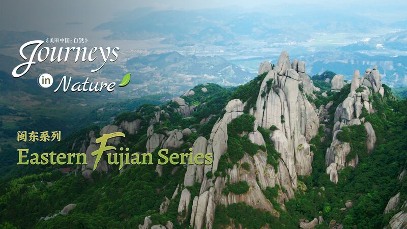 Taimu_Mountain__China_s_Coastal_Fairyland___poster - 🌍NewspaperAmigo – Your Global News Buddy 🗞️ __Taimu_Mountain__China_s_Coastal_Fairyland__ video poster