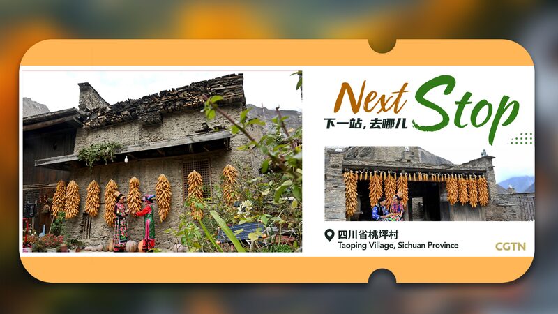 Taoping_Village_Shines_in_Global_Tourism__A_3_000_Year_Cultural_Gem____