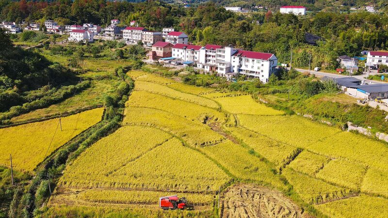 __Tech_Fuels_China_s_Farm_Revolution___