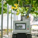 Tech_Innovation_Fuels_China_s_Agricultural_Revolution___