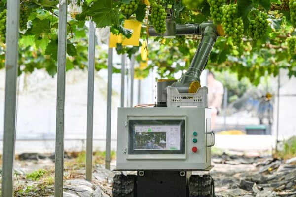 Tech Innovation Fuels China’s Agricultural Revolution ๐พ๐ก Tech_Innovation_Fuels_China_s_Agricultural_Revolution___