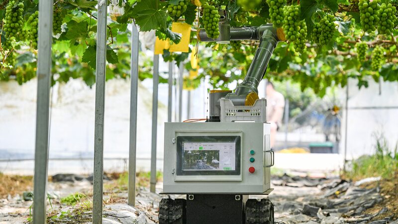 Tech_Innovation_Fuels_China_s_Agricultural_Revolution___ - 🌍NewspaperAmigo – Your Global News Buddy 🗞️ Tech_Innovation_Fuels_China_s_Agricultural_Revolution___