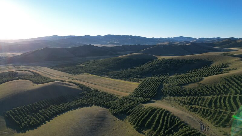 The Chinese mainland Allocates $1.7B for Massive Forest Restoration Effort ๐ฑ๐ธ The_Chinese_mainland_Allocates__1_7B_for_Massive_Forest_Restoration_Effort___