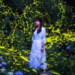 Tiantai_Mountain_Fireflies_Light_Up_Sichuan_s_Night_Sky___