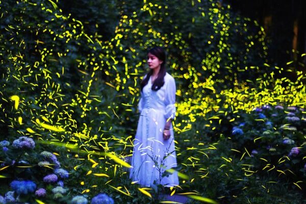 Tiantai Mountain Fireflies Light Up Sichuan’s Night Sky 🌟✨ Tiantai_Mountain_Fireflies_Light_Up_Sichuan_s_Night_Sky___