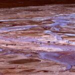 Tibetan_Antelopes_Thrive__Qinghai_Hoh_Xil_Protects_Majestic__Elves____ video poster