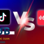 TikTok_Refugees_Embrace_Chinese_Culture_on_RedNote___ video poster