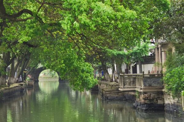Tongli: Ancient Water Town Balances Tourism & Tradition 🌉🏡 Tongli__Ancient_Water_Town_Balances_Tourism___Tradition___
