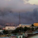 __Tragedy_in_Chile__Wildfire_Destroys_Global_Botanical_Treasure