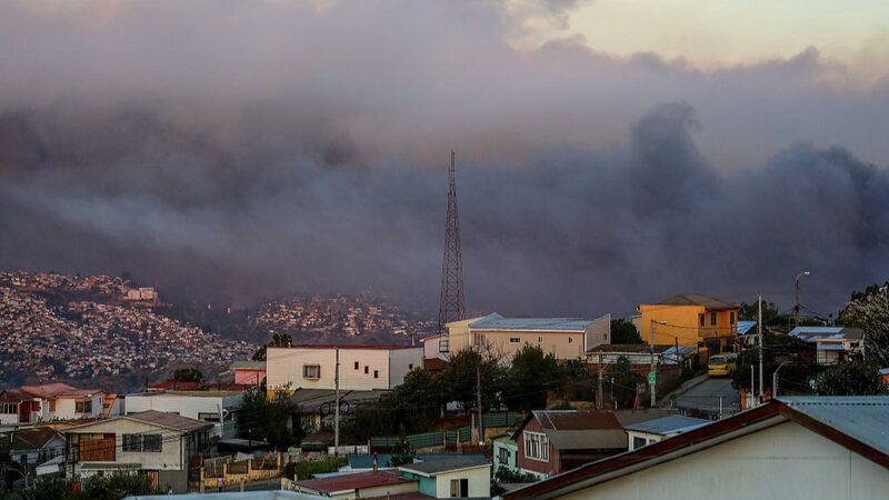 Tragedy_in_Chile__Wildfire_Destroys_Global_Botanical_Treasure - 🌍NewspaperAmigo – Your Global News Buddy 🗞️ __Tragedy_in_Chile__Wildfire_Destroys_Global_Botanical_Treasure