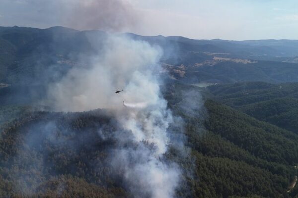Turkey’s Green Revival: 500M Seeds to Rebuild Forests Post-Fires 🌱🔥 Turkey_s_Green_Revival__500M_Seeds_to_Rebuild_Forests_Post_Fires___