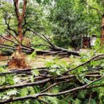 Typhoon_Gaemi_Hits_Fujian__Over_628_000_Affected_____