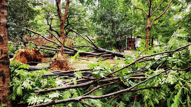 Typhoon_Gaemi_Hits_Fujian__Over_628_000_Affected_____ - 🌍NewspaperAmigo – Your Global News Buddy 🗞️ Typhoon_Gaemi_Hits_Fujian__Over_628_000_Affected_____