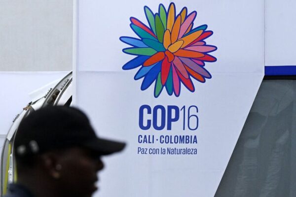 UN Chief Demands Urgent Funding Boost to Save Global Biodiversity 🌱💸 UN_Chief_Demands_Urgent_Funding_Boost_to_Save_Global_Biodiversity___