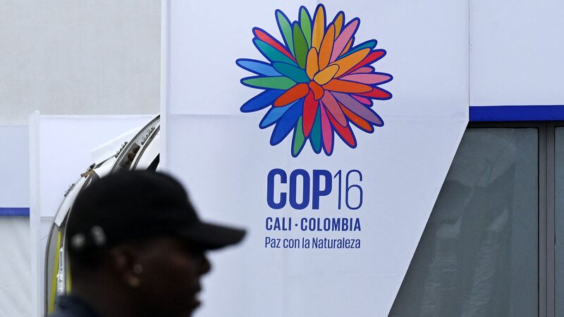 UN_Chief_Demands_Urgent_Funding_Boost_to_Save_Global_Biodiversity___