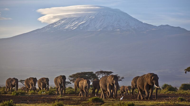 ___UN_General_Assembly_Designates_2027_as_Year_of_Sustainable_Tourism
