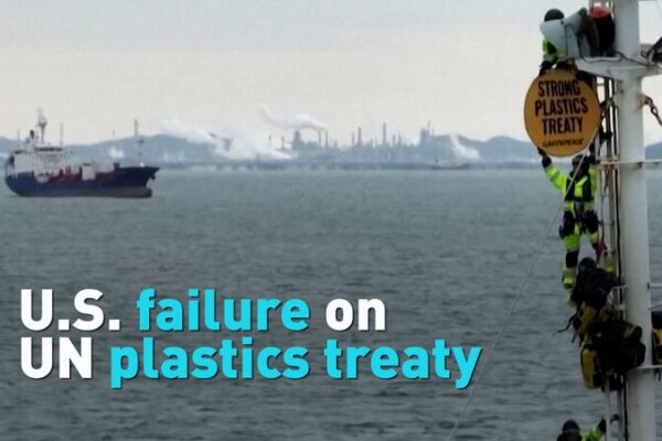 🌍 UN Plastic Treaty Talks Collapse as U.S. Withdraws Key Support __UN_Plastic_Treaty_Talks_Collapse_as_U_S__Withdraws_Key_Support video poster