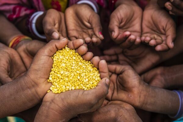 UN Report: 733 Million Faced Hunger in 2023 🍽️🌍 UN_Report__733_Million_Faced_Hunger_in_2023____