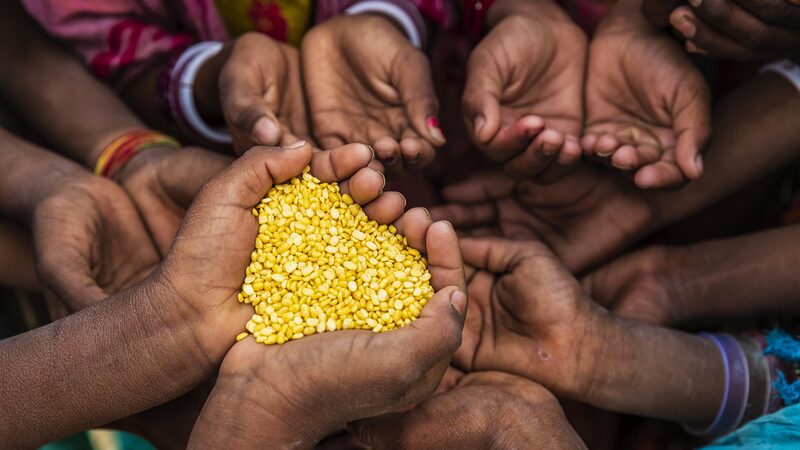 UN_Report__733_Million_Faced_Hunger_in_2023____