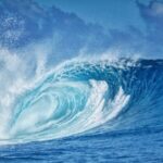 UN_Urges_Global_Action_on_Marine_Conservation_During_World_Oceans_Day__