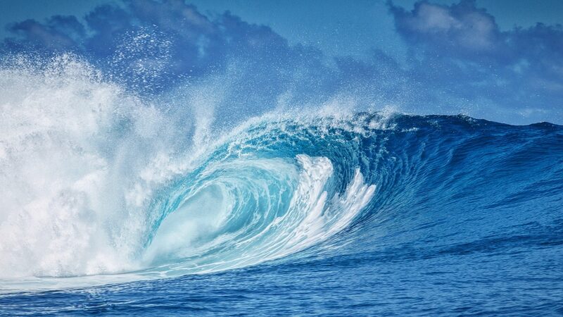 UN_Urges_Global_Action_on_Marine_Conservation_During_World_Oceans_Day__ - 🌍NewspaperAmigo – Your Global News Buddy 🗞️ UN_Urges_Global_Action_on_Marine_Conservation_During_World_Oceans_Day__