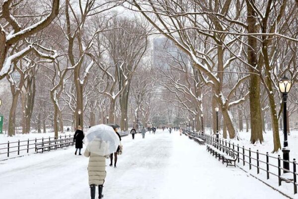 US Chills as World Warms: Climate Paradox Explained ❄️🌍 US_Chills_as_World_Warms__Climate_Paradox_Explained____