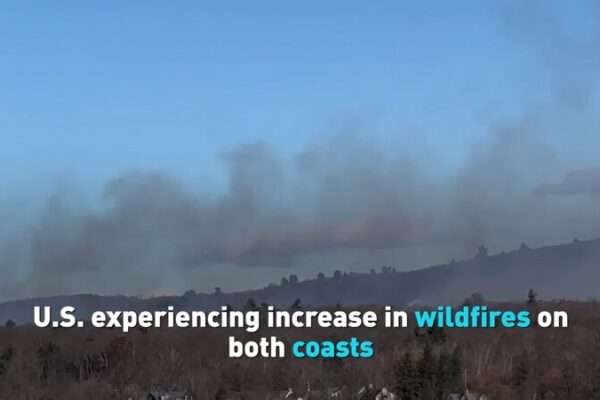 US Wildfires Surge on East and West Coasts Amid Dry Conditions ๐ฅ๐ฒ US_Wildfires_Surge_on_East_and_West_Coasts_Amid_Dry_Conditions___ video poster