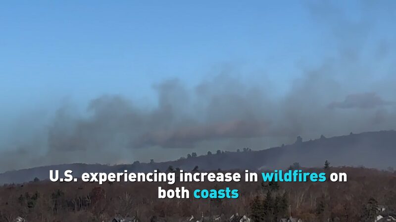 US_Wildfires_Surge_on_East_and_West_Coasts_Amid_Dry_Conditions____poster - 🌍NewspaperAmigo – Your Global News Buddy 🗞️ US_Wildfires_Surge_on_East_and_West_Coasts_Amid_Dry_Conditions___ video poster