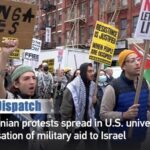 __U_S__Campuses_Rise_Up__Pro_Palestinian_Protests_Gain_Momentum___ video poster