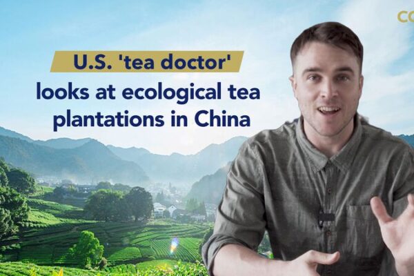 U.S. ‘Tea Doctor’ Brews Eco-Friendly Science in China 🌱🍵 U_S___Tea_Doctor__Brews_Eco_Friendly_Science_in_China___ video poster